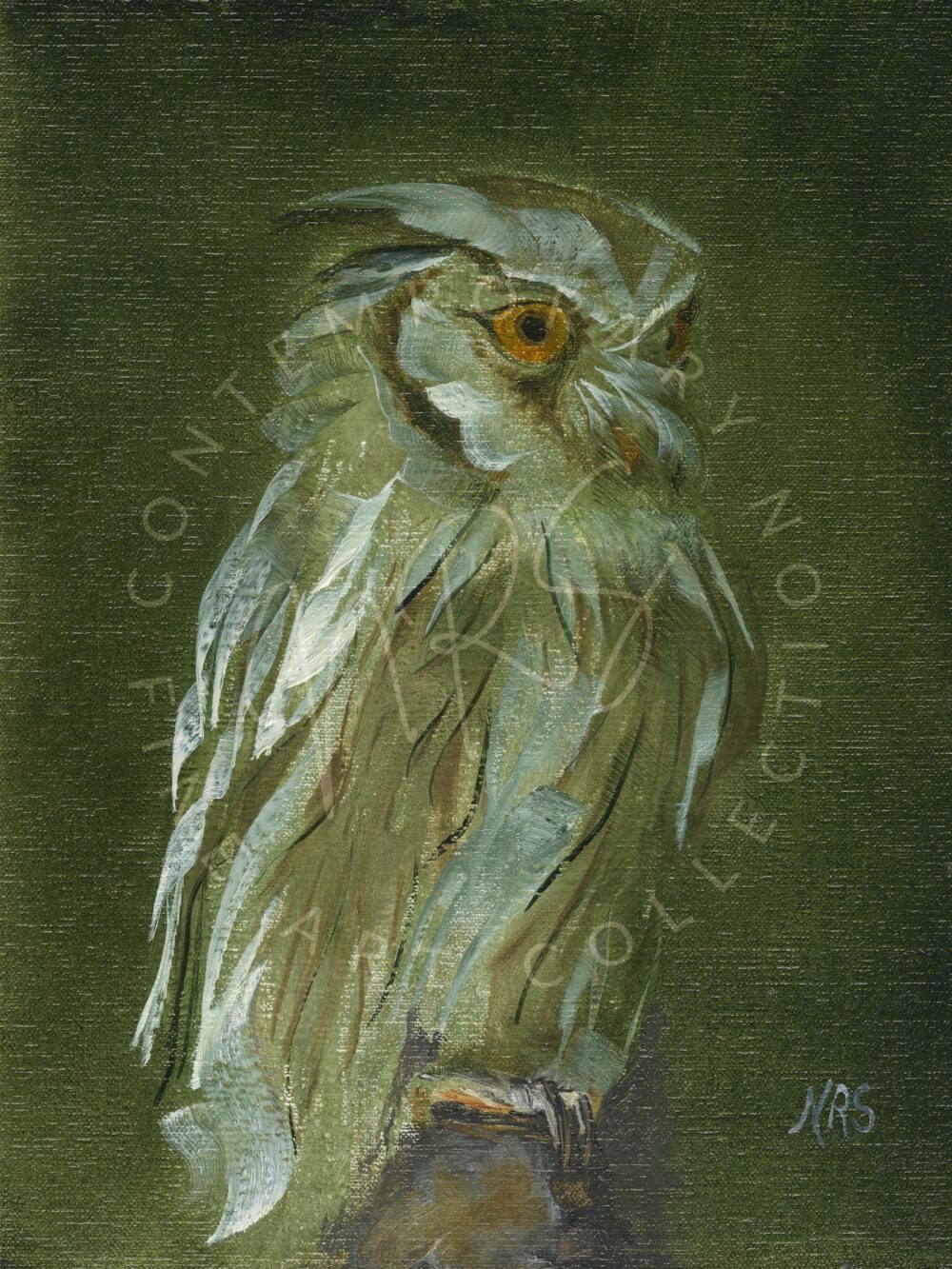 Hoot Hoot | 9 x 12 in. Oil on Canvas | Status: Available